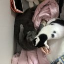 땡삼 네이버블로그