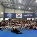 용인대태풍태권도장 이미지