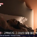 황금용 이미지