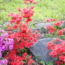 별빛담은펜션 이미지