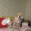 옹기종기 이미지