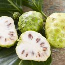 노니카페 이미지