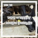 선녀농장참하우스 | 강릉 가볼만한곳 '대관령 아기동물농장' 아이와 함께하기 좋은 강릉 여행코스