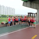 팔도강산 이미지