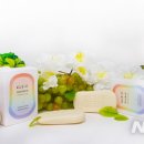 레인보우헬스케어 이미지