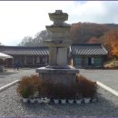 당우목장 Daum카페