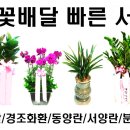 신온7길 네이버블로그