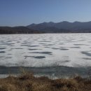 외포터미널 이미지