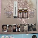 셀비아시흥