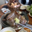 미트랑 티스토리