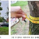 생장추 네이버블로그