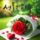 선물하루 이미지