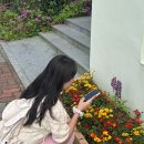 전남여성가족재단 건너편 화단 | 남악 애견 동반 카페 와플 맛집 폴랜드