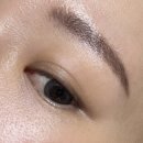 렌즈미(진해점) | 렌즈미 블리쉬 브라운 그레이 투톤 렌즈 신상 원데이 렌즈 데일리 쿨톤렌즈 추천