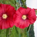 천은농장 이미지