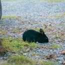 만석목장 이미지