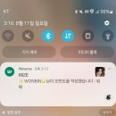 채오름SMP | 약속의 8월