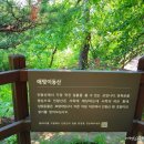 산수화길 이미지