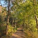 원색명화마을 이미지