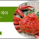싱싱한게야 이미지