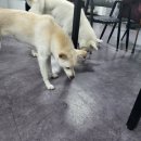 김태희공인중개사사무소 이미지