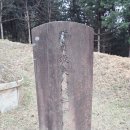 (신민일 1계실) 정경부인 파평윤씨