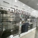 24시 황금동물의료센터 이미지