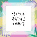 구로동물병원