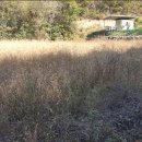 청운(용두)시외버스터미널 이미지