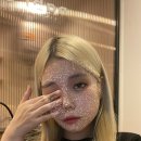 강남고양이분양 나비캣 이미지