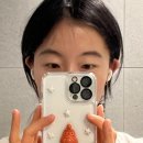 동화식당 네이버블로그