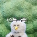딩동댕 이미지