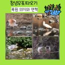 우포 따오기 구조 치료센터 | 창녕 우포따오기 복원 의미와 연혁