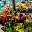 양재시장 이미지