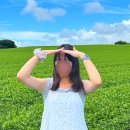 성읍민속로 이미지