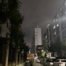 (주)마메든