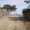 김씨농장 이미지