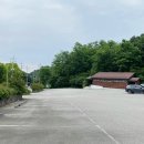 바오밥나무 | 용인 한택식물원 4월 꽃구경 바오밥 나무 입장료 방문 후기