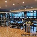 비나이더 범계점 | 피트니스인조잔디 PT샵인조잔디 헬스장인조잔디 비나이더분당미금점 분당인조잔디 성남인조잔디 판교...