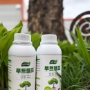 (주)계림조경자재 이미지