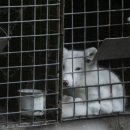 미소지은농장 이미지