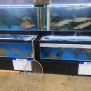 바다식자재할인마트 이미지