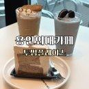용인외대카페, 모현카페 통유리창으로 채광 가득한 투썸플레이스 용인외대점