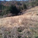 명일농장 이미지