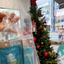 오렌즈 광주수완점 | 난시컬러렌즈 전문점 오렌즈 광주 수완점 하드렌즈에서 컬러렌즈 도전 후기