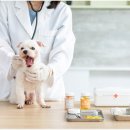 투게더동물병원 이미지