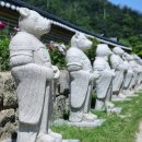 빛 96 - 11 이미지