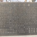 효도 권장비 Daum카페