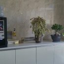 들풀이동갈비 막국수 이미지