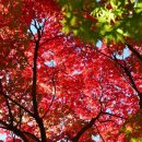 방화근린공원 이미지